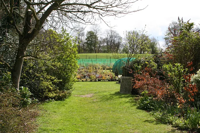 Lilyhurst Nursery plot