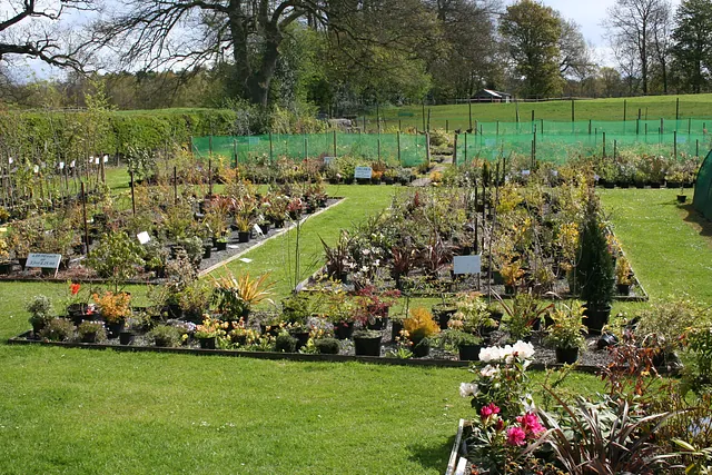 Lilyhurst Nursery acre plot